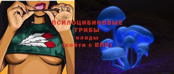 МДПВ Горнозаводск