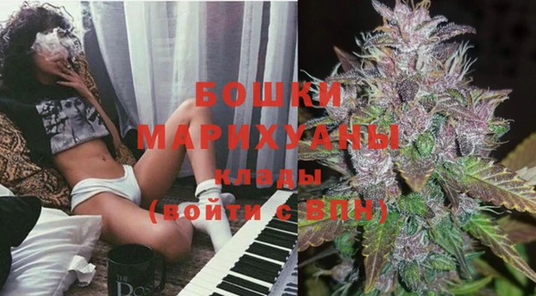 МДПВ Горнозаводск