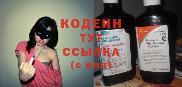 амф Вяземский