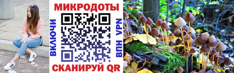 Галлюциногенные грибы прущие грибы  Суздаль 